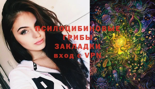 ГАЛЛЮЦИНОГЕННЫЕ ГРИБЫ Строитель